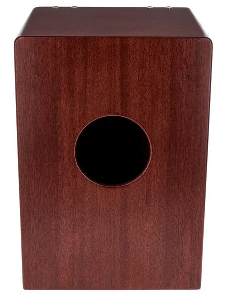 DG De Gregorio Fenix Deluxe Cajon detail 5