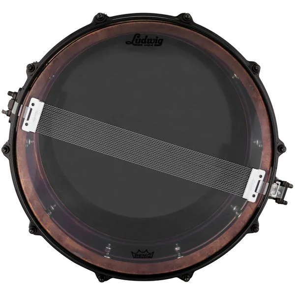 Ludwig 14"x6,5" Raw Ham. Copper Phon. detail 4