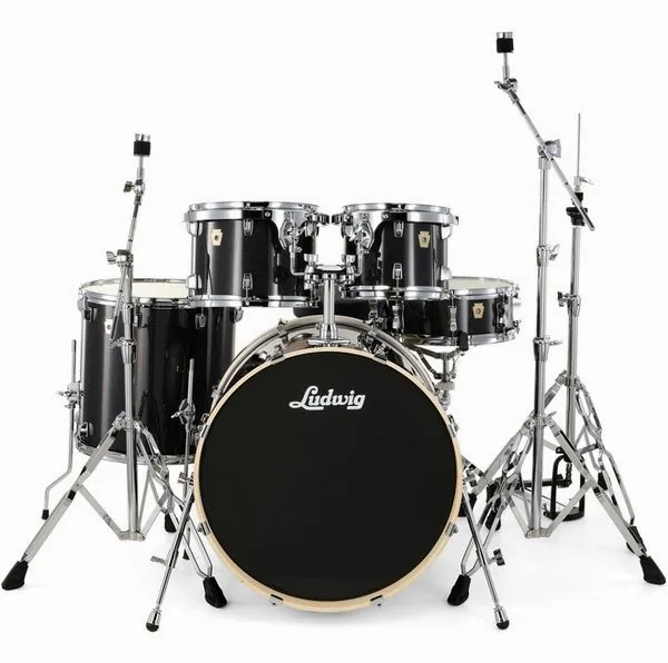 Ludwig Evolution 20" Moon Dust detail 3