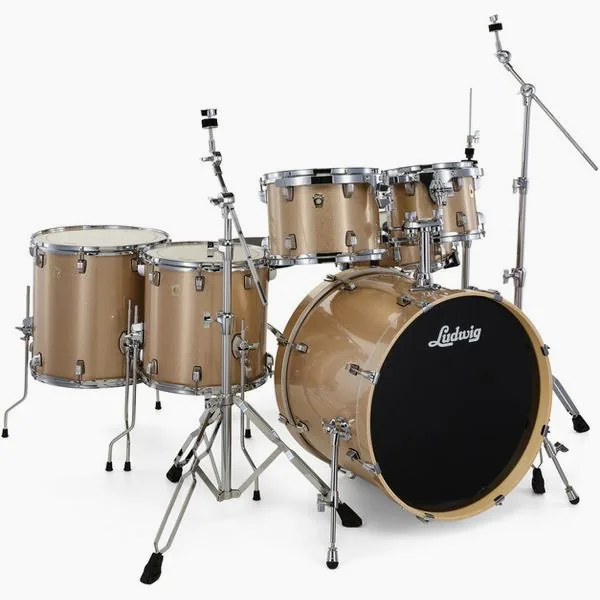 Ludwig Evolution 22" 6pc Prosec. Spkl detail 4