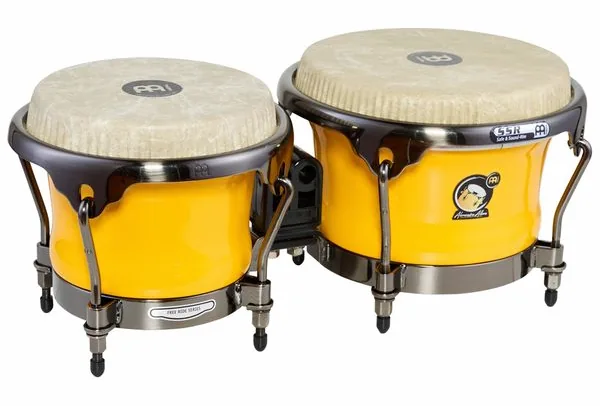 Meinl Artist Alexandra Alban Bongos detail 2