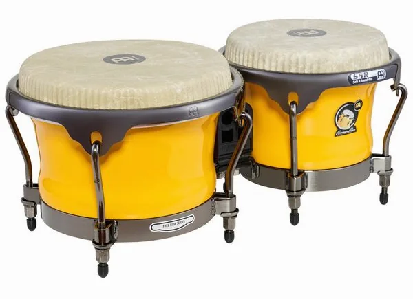 Meinl Artist Alexandra Alban Bongos detail 3