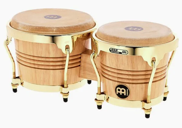 Meinl WB200NT-G Bongoset detail 2