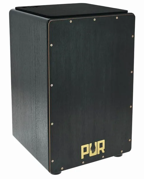 PUR Vision Pro Black&Gold Cajon detail 4