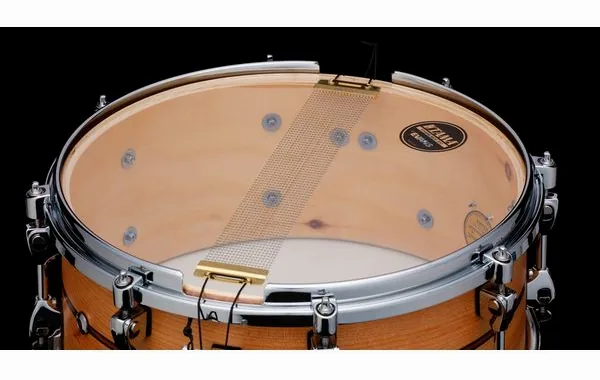 Tama 14"x06" Starphonic Spruce detail 5