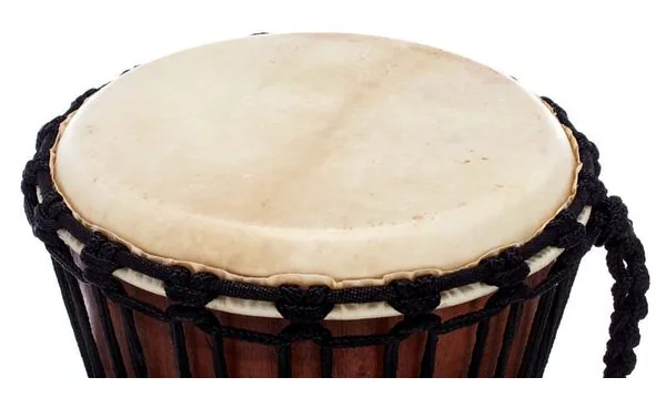 Terre Djembe Carved Dragon 60cm detail 5