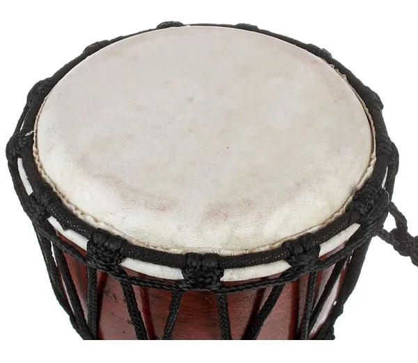 Thomann BN16 Djembe detail 5